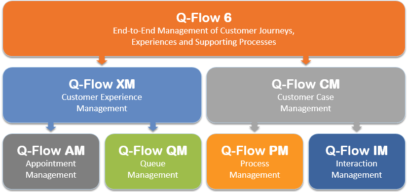 Q-Flow Model